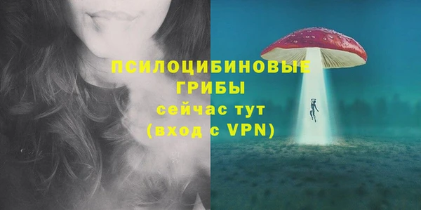 хмурый Алексеевка