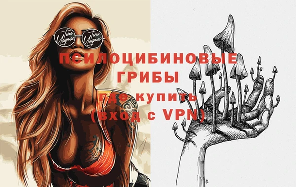 хмурый Алексеевка