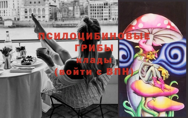 спайс Алзамай