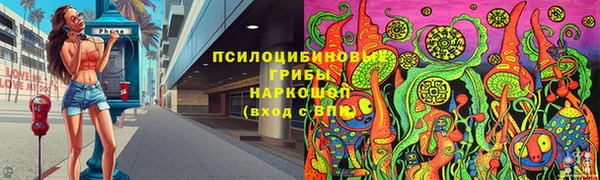 тгк Алексин