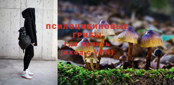 тгк Алексин