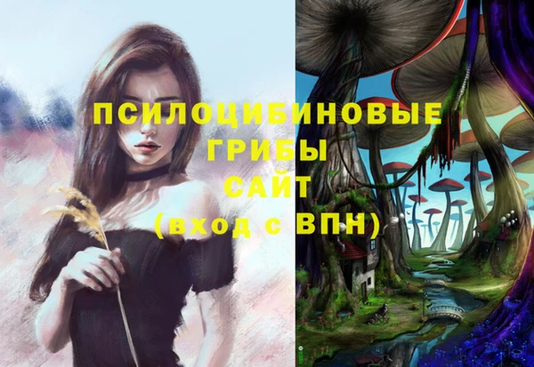 а пвп мука Карпинск